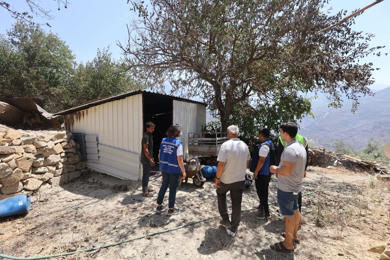 Seydikemer'de Yangın Sonrası Üreticilere Büyükşehir Desteği 1